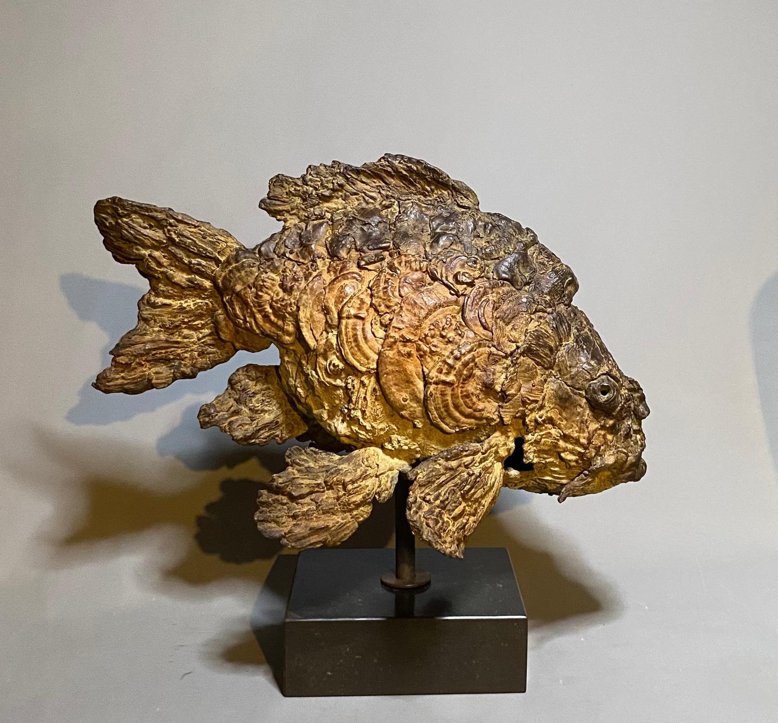 Cornelius Scultura in bronzo Pesce Animale Belgio Design Modern Art In magazzino