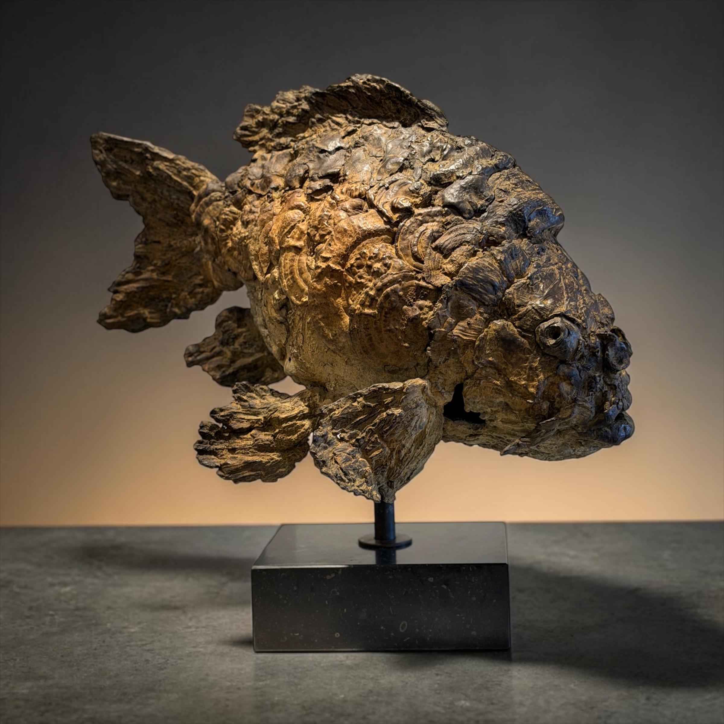 Pieter Vanden Daele Figurative Sculpture - Cornelius Bronze Sculpture Fish Animal Belgium Design Modern Art In Stock