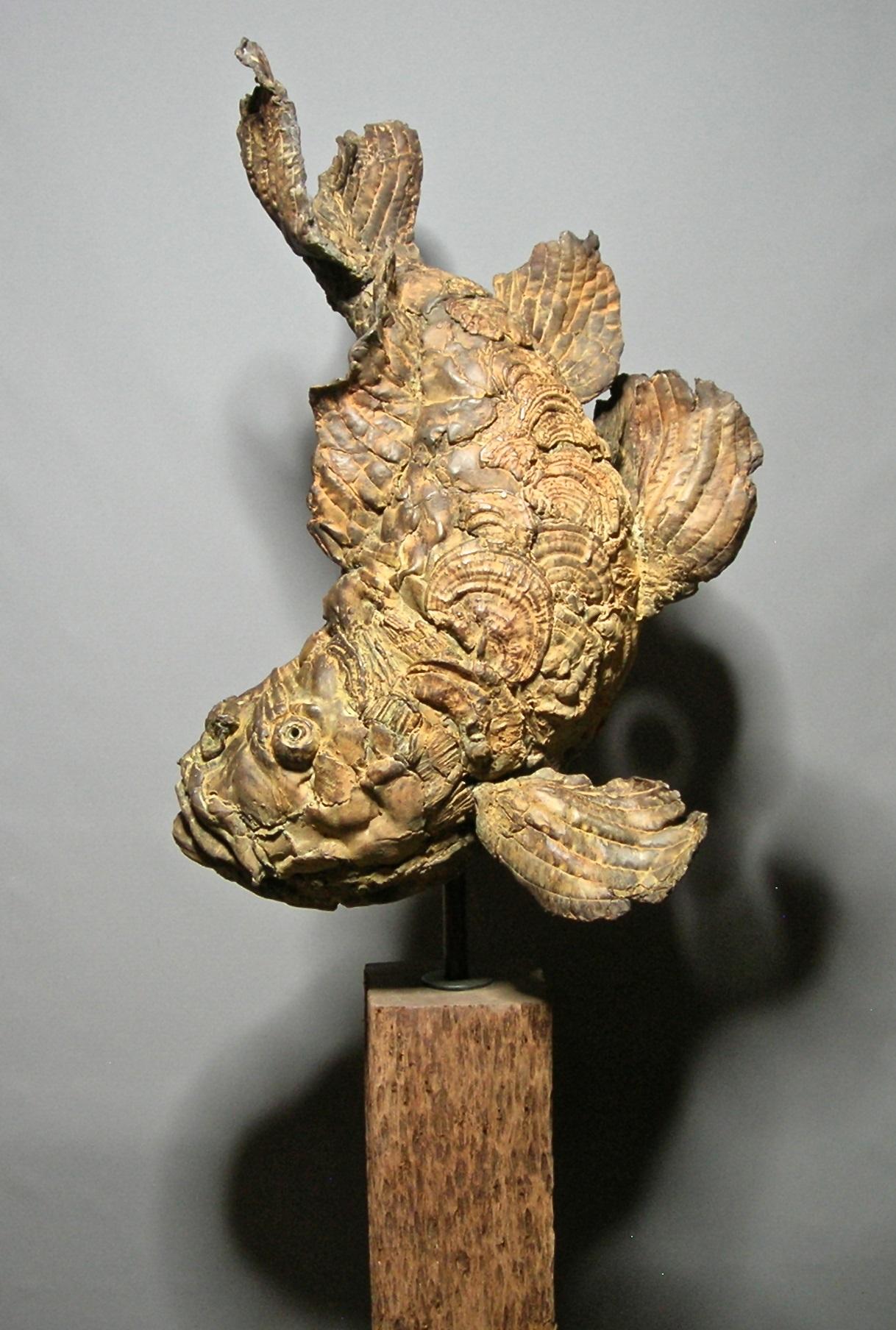Ferox Pez Feroz Escultura de Bronce sobre Piedra - Sculpture Contemporáneo de Pieter Vanden Daele
