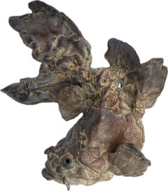 Pesce Judocus Scultura in bronzo Realismo Belga In magazzino