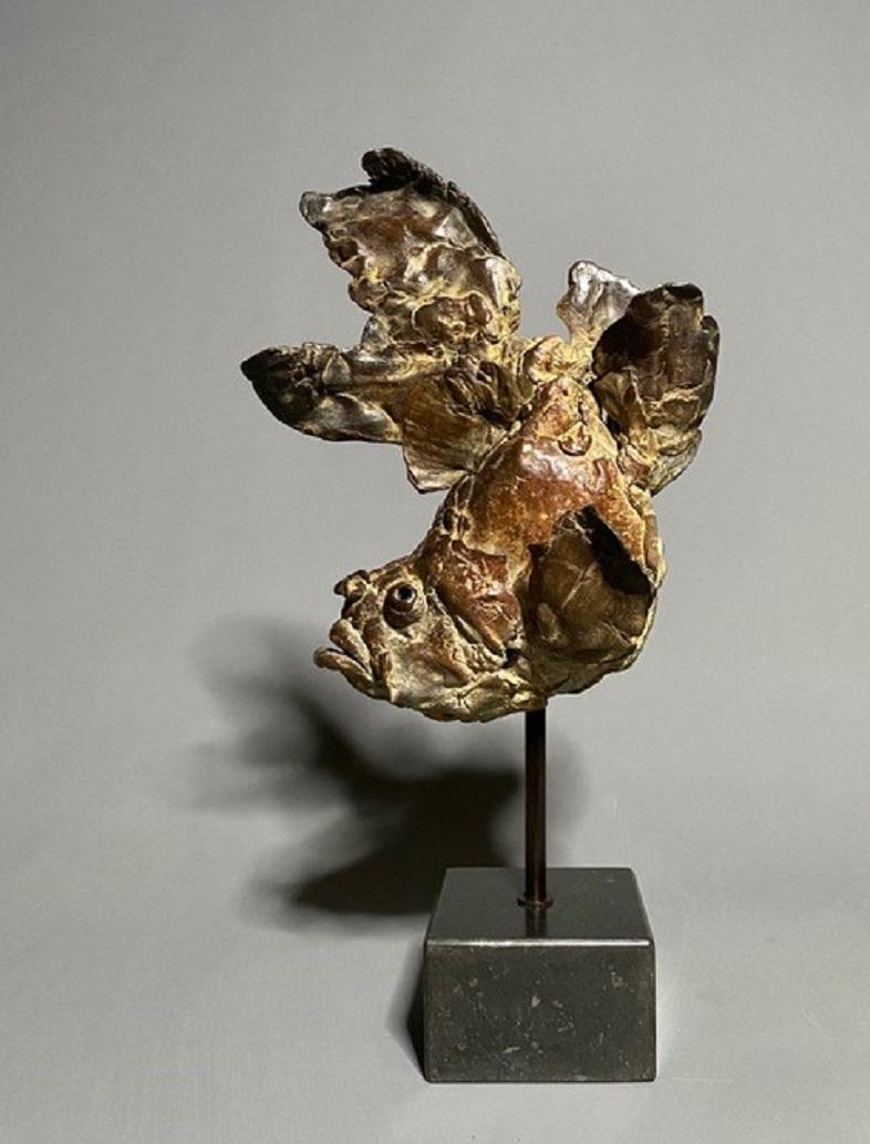 Pieter Vanden Daele Figurative Sculpture - Judocus Fish Bronze Sculpture Realism Belgian In Stock