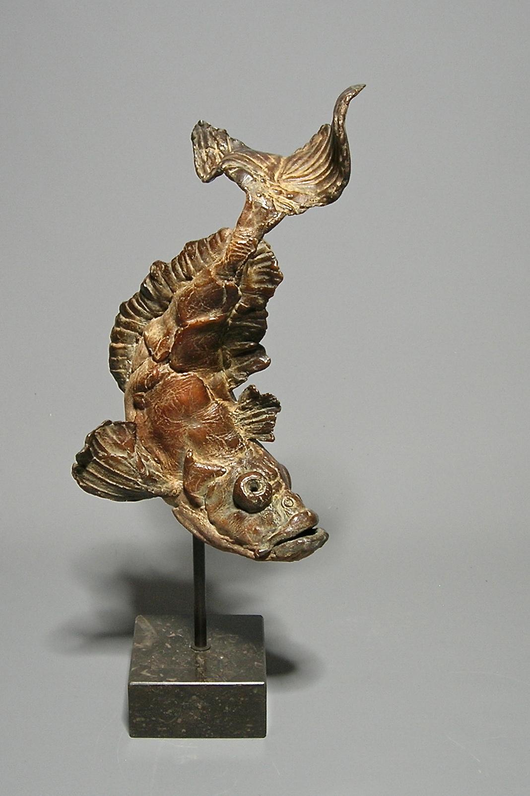 Pieter Vanden Daele Figurative Sculpture - Pietro Fish Bronze Sculpture Animal Water In Stock 