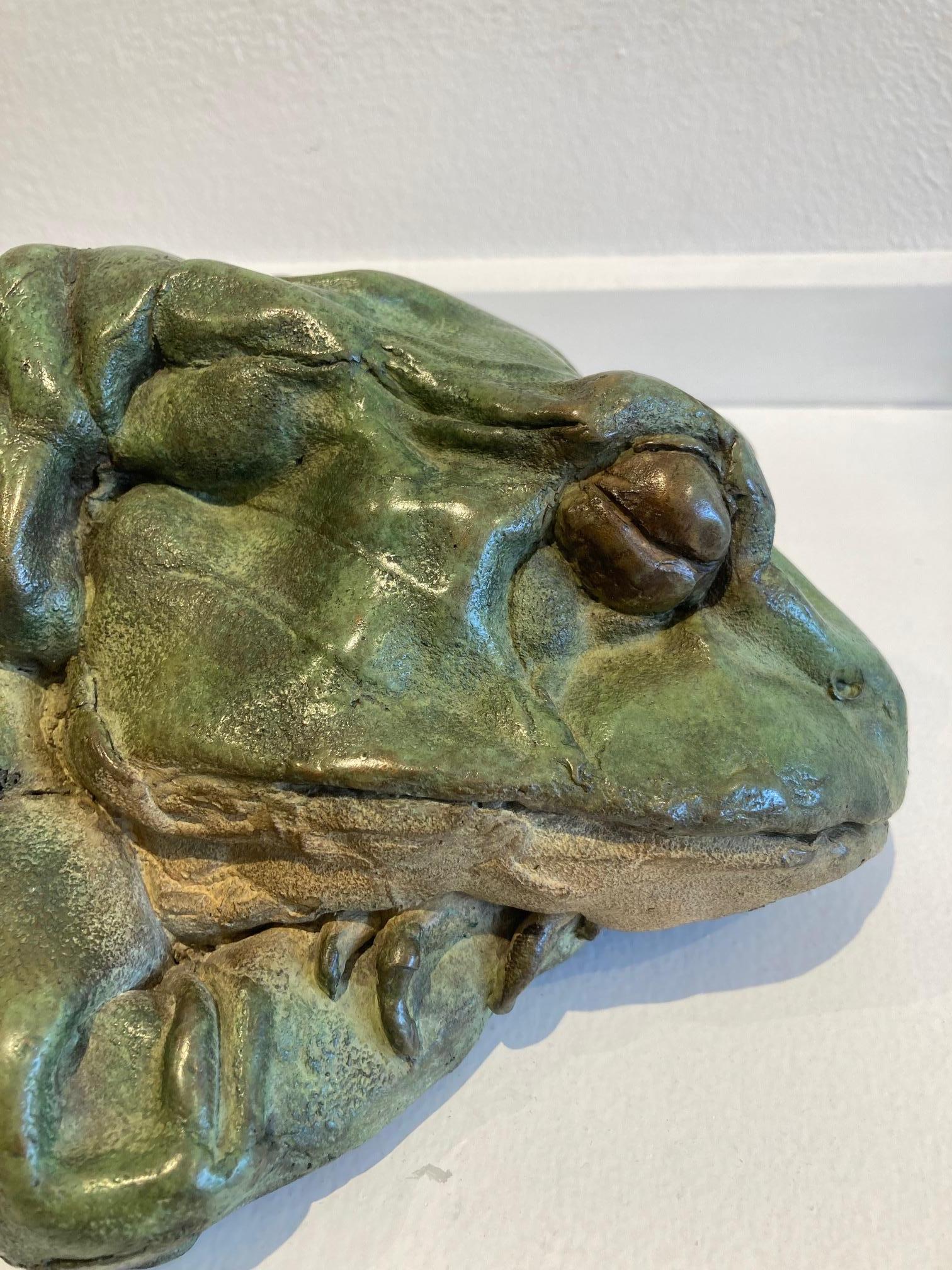 Sleeping Frog Bronze Sculpture Animal Green Patina Outside Realism In Stock 2