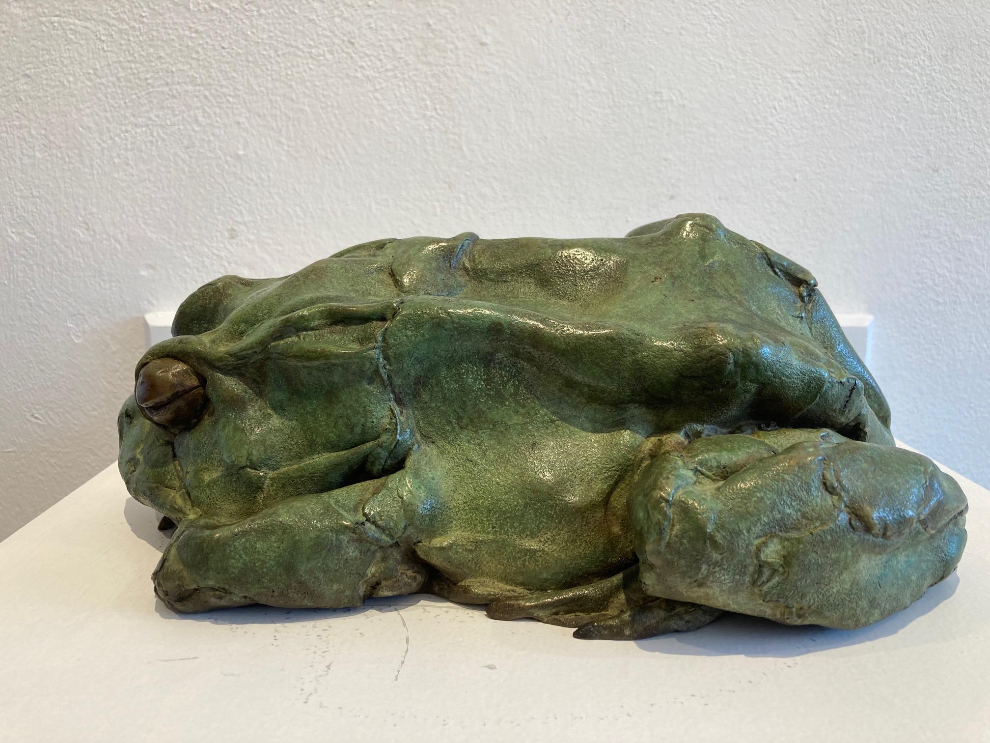 Sleeping Frog Bronze Sculpture Animal Green Patina Outside Realism In Stock 4