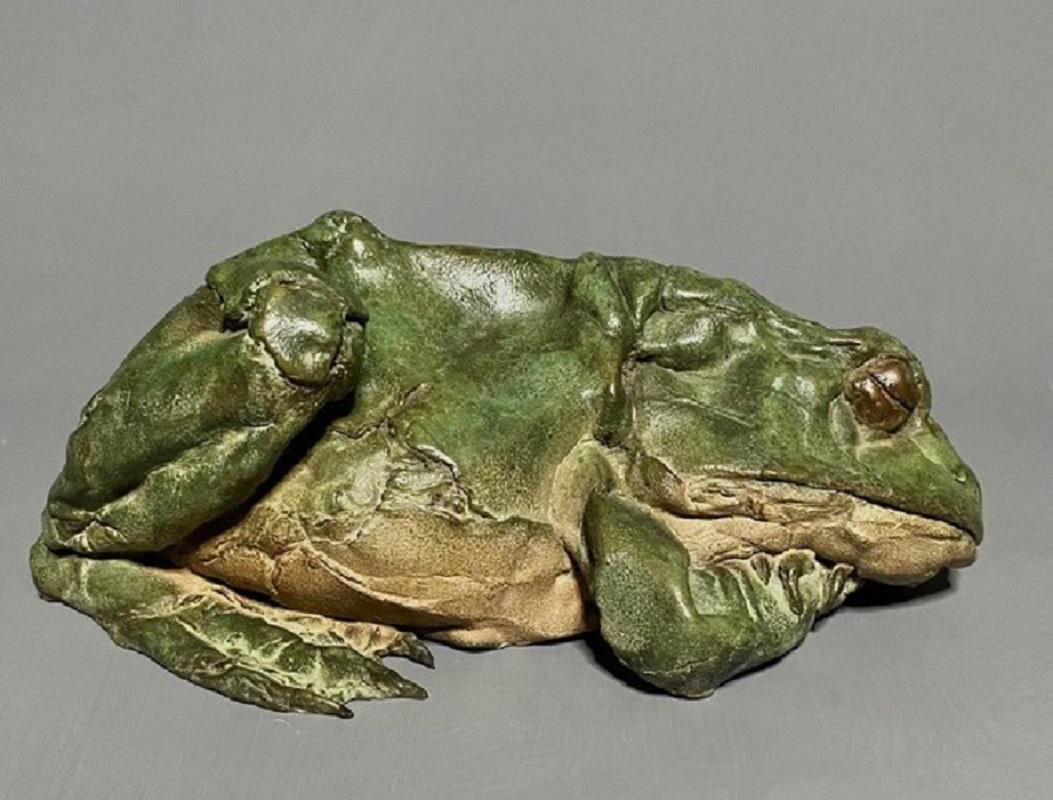 Pieter Vanden Daele Figurative Sculpture - Sleeping Frog Bronze Sculpture Animal Green Patina Outside Realism In Stock