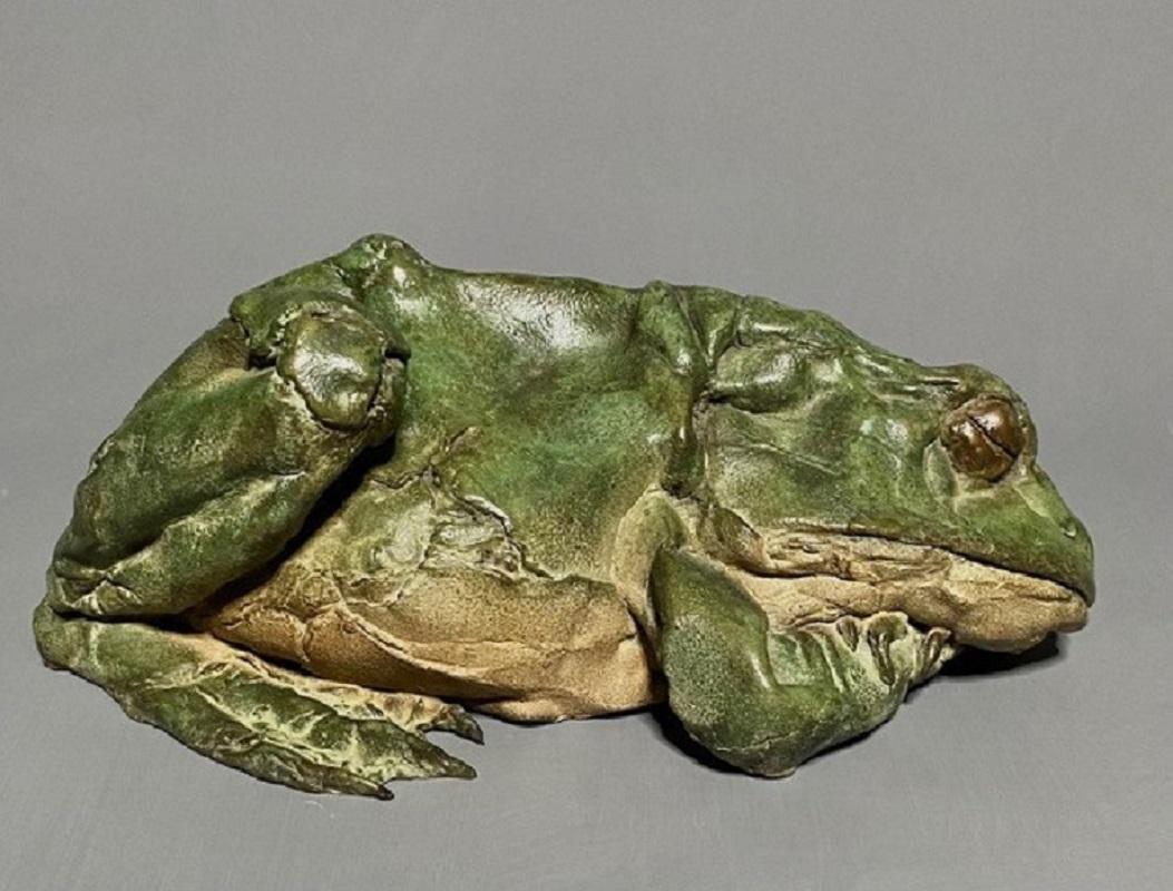Figurative Sculpture de Pieter Vanden Daele - Rana Durmiente Escultura Bronce Animal Pátina Verde Realismo Exterior En Stock