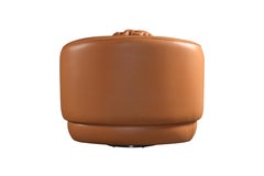 "Pietra" Curved Swivel Armchair Upholstered in Natural Leather Whisky Color