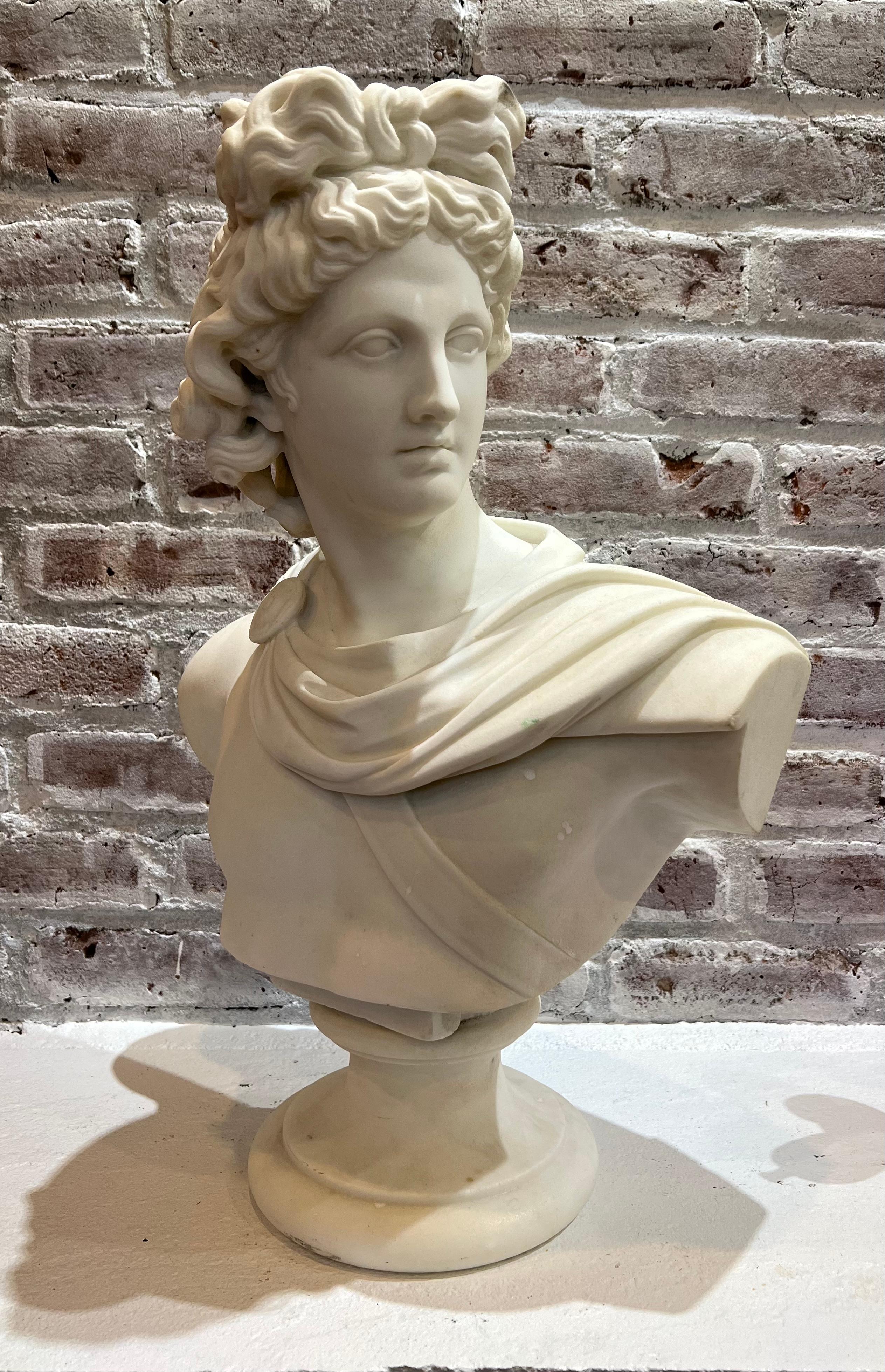 Large 19th Century Antique Marble Bust of Apollo of Belvedere For Sale 7