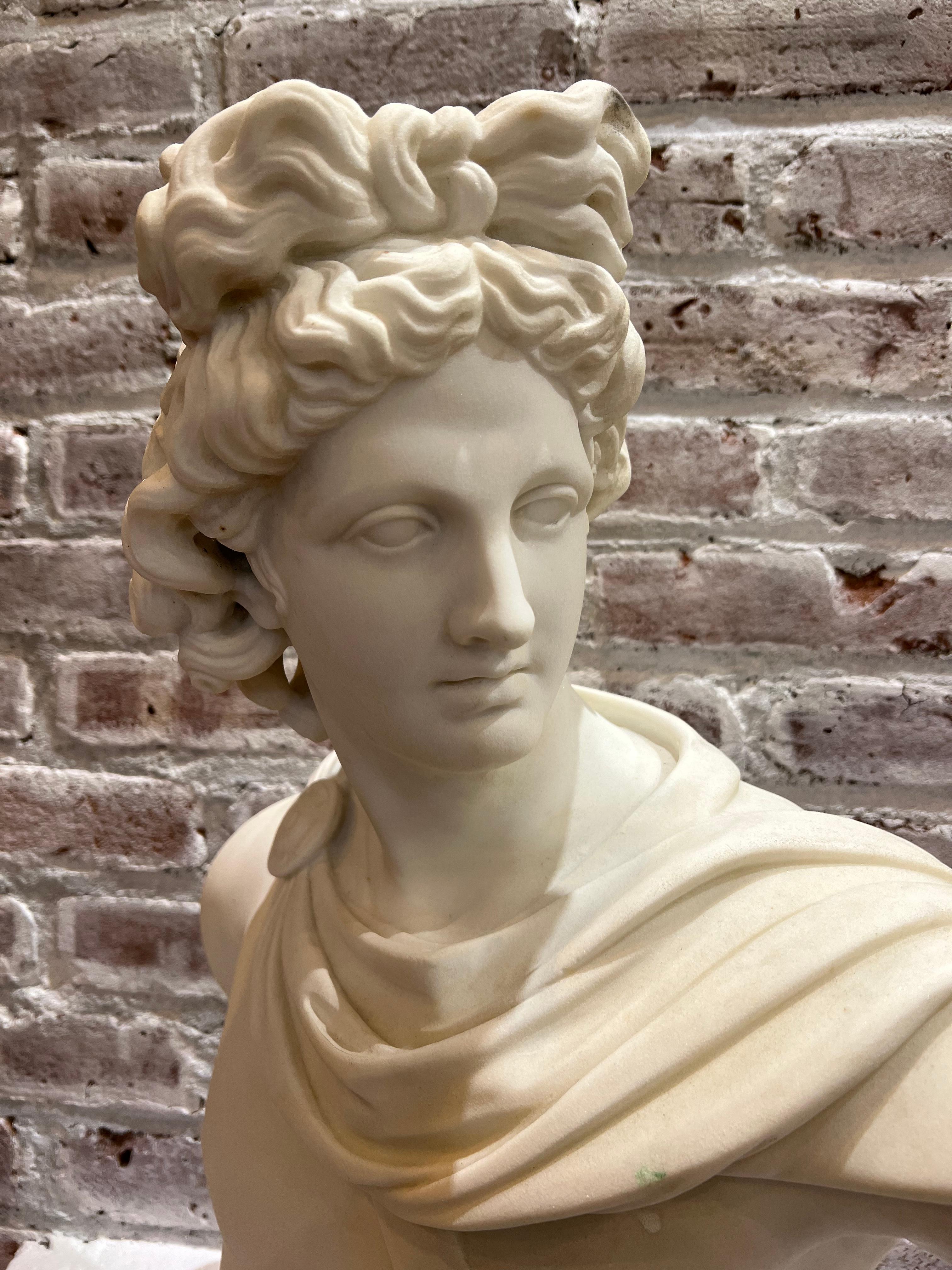 Large 19th Century Antique Marble Bust of Apollo of Belvedere For Sale 8