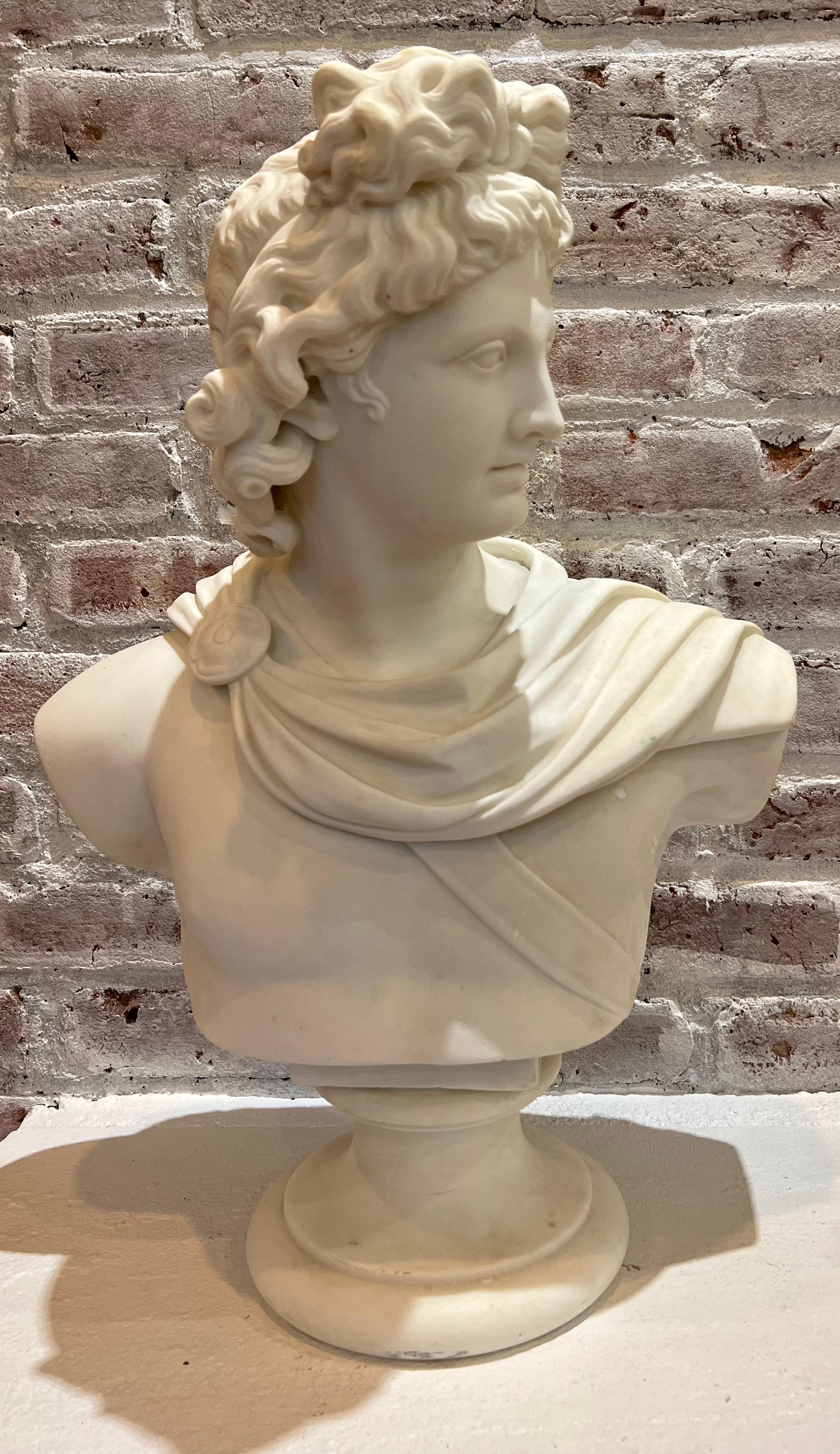 Large 19th Century Antique Marble Bust of Apollo of Belvedere For Sale 11