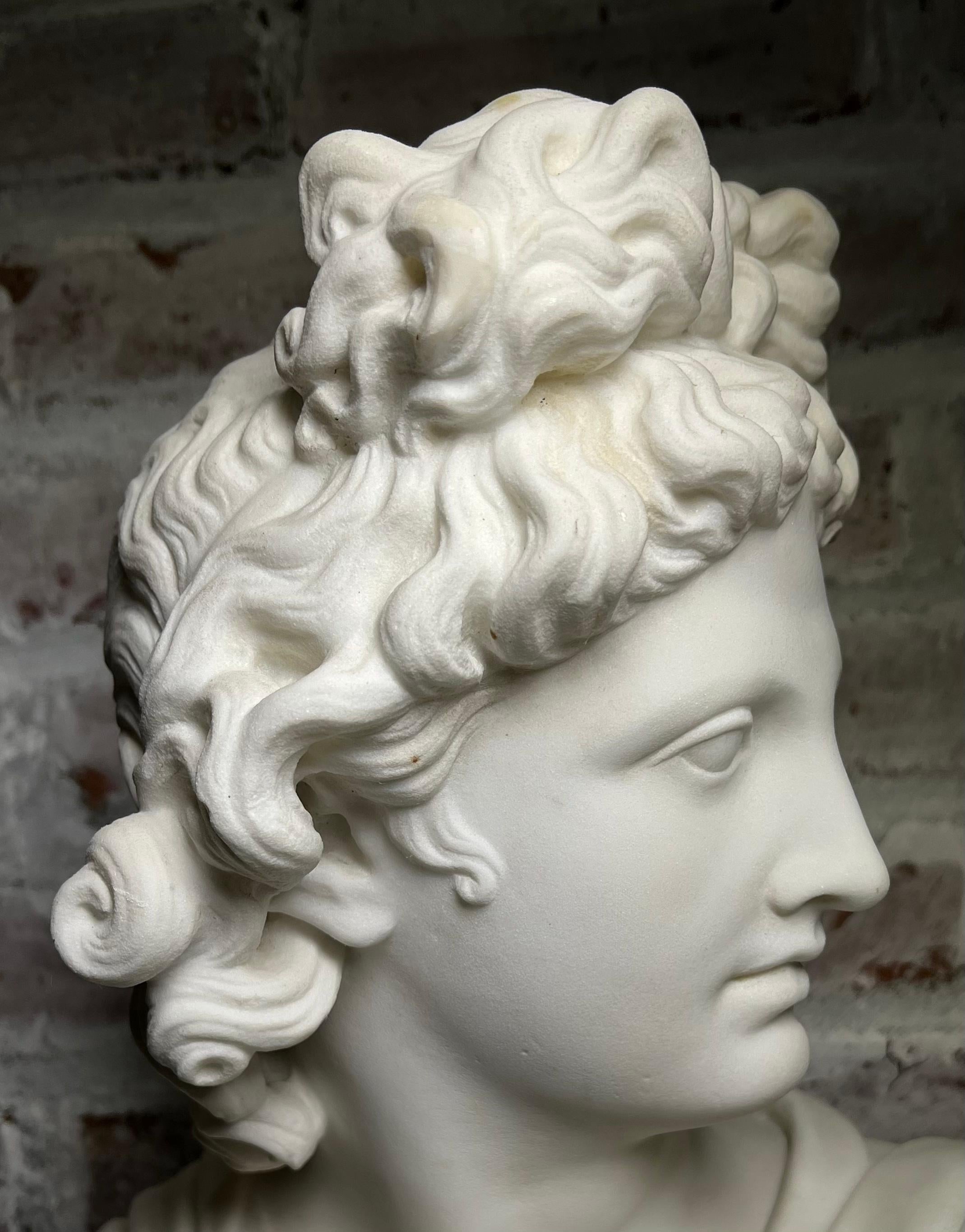 Large 19th Century Antique Marble Bust of Apollo of Belvedere For Sale 1
