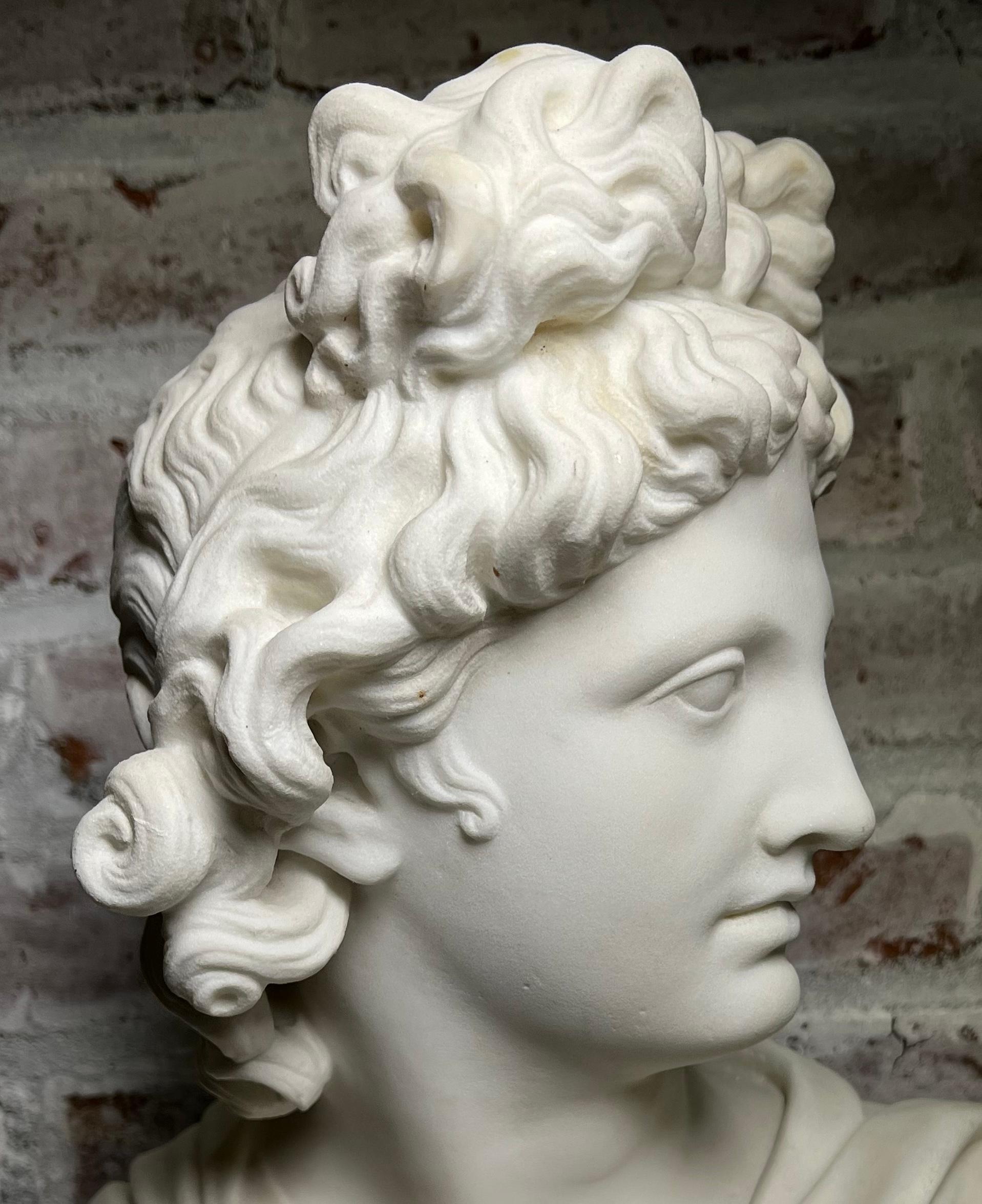 Large 19th Century Antique Marble Bust of Apollo of Belvedere For Sale 3
