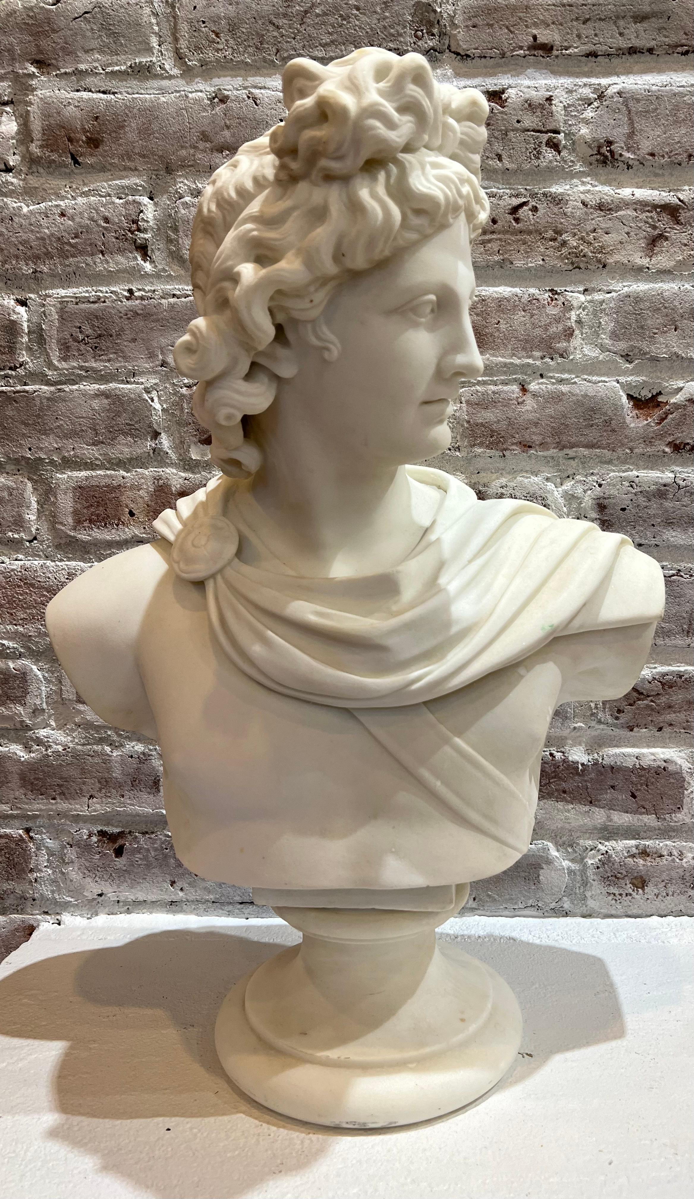 Large 19th Century Antique Marble Bust of Apollo of Belvedere For Sale 9