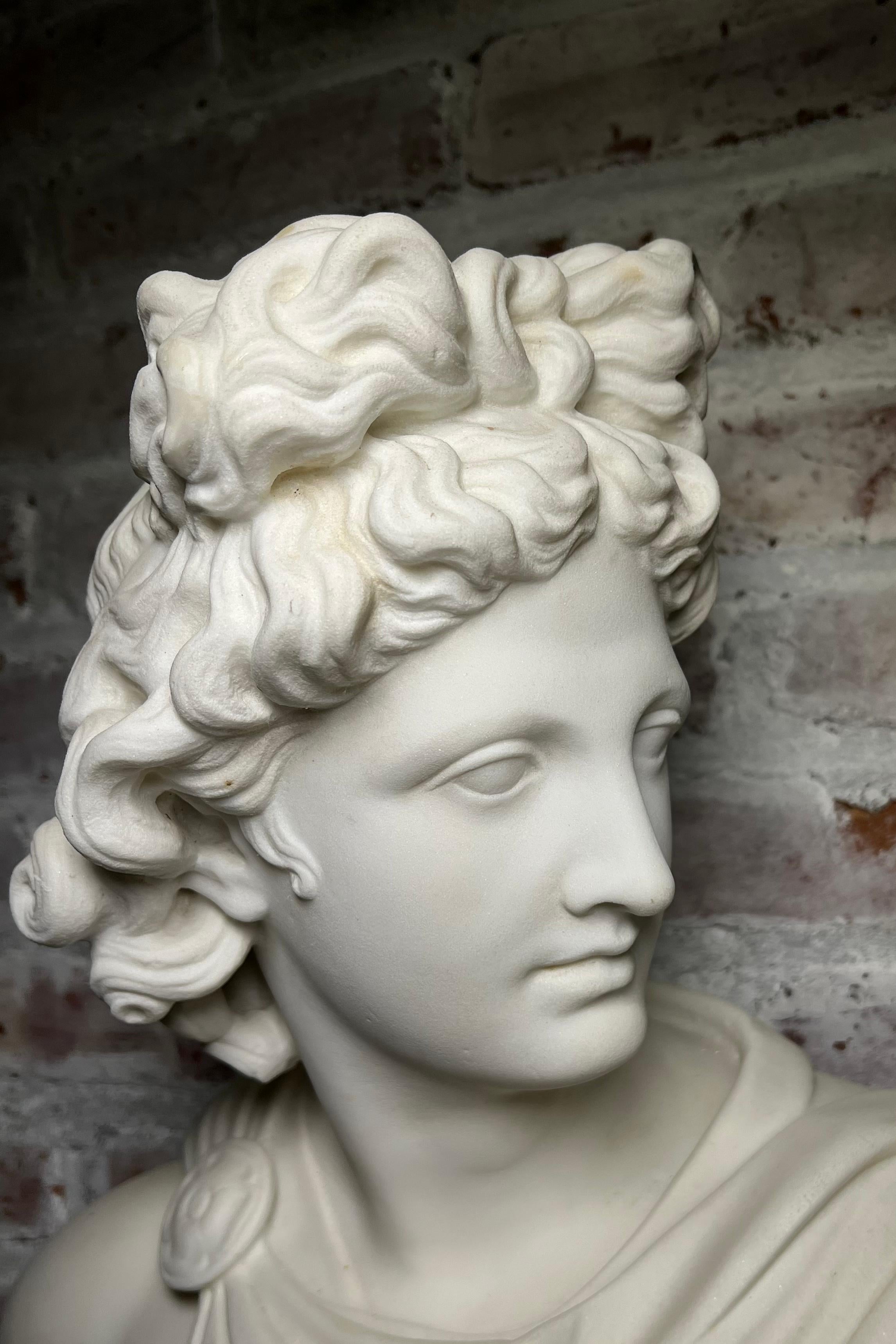 Large 19th Century Antique Marble Bust of Apollo of Belvedere For Sale 1