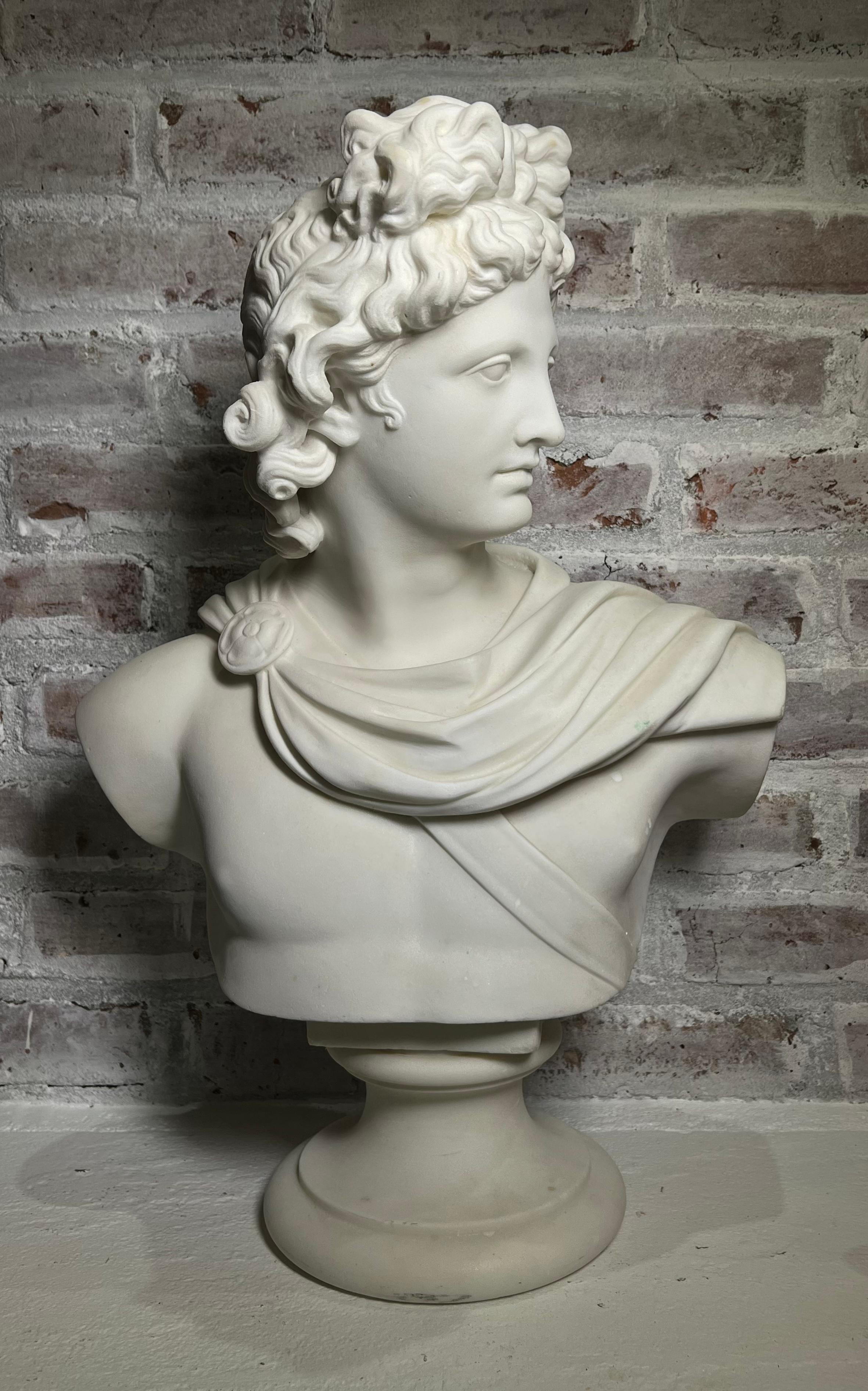 Large 19th Century Antique Marble Bust of Apollo of Belvedere