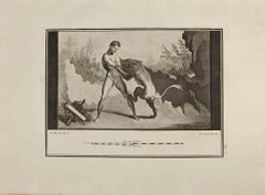 Antique Hercules and Lion - Etching by Pietro Campana - 18th Century