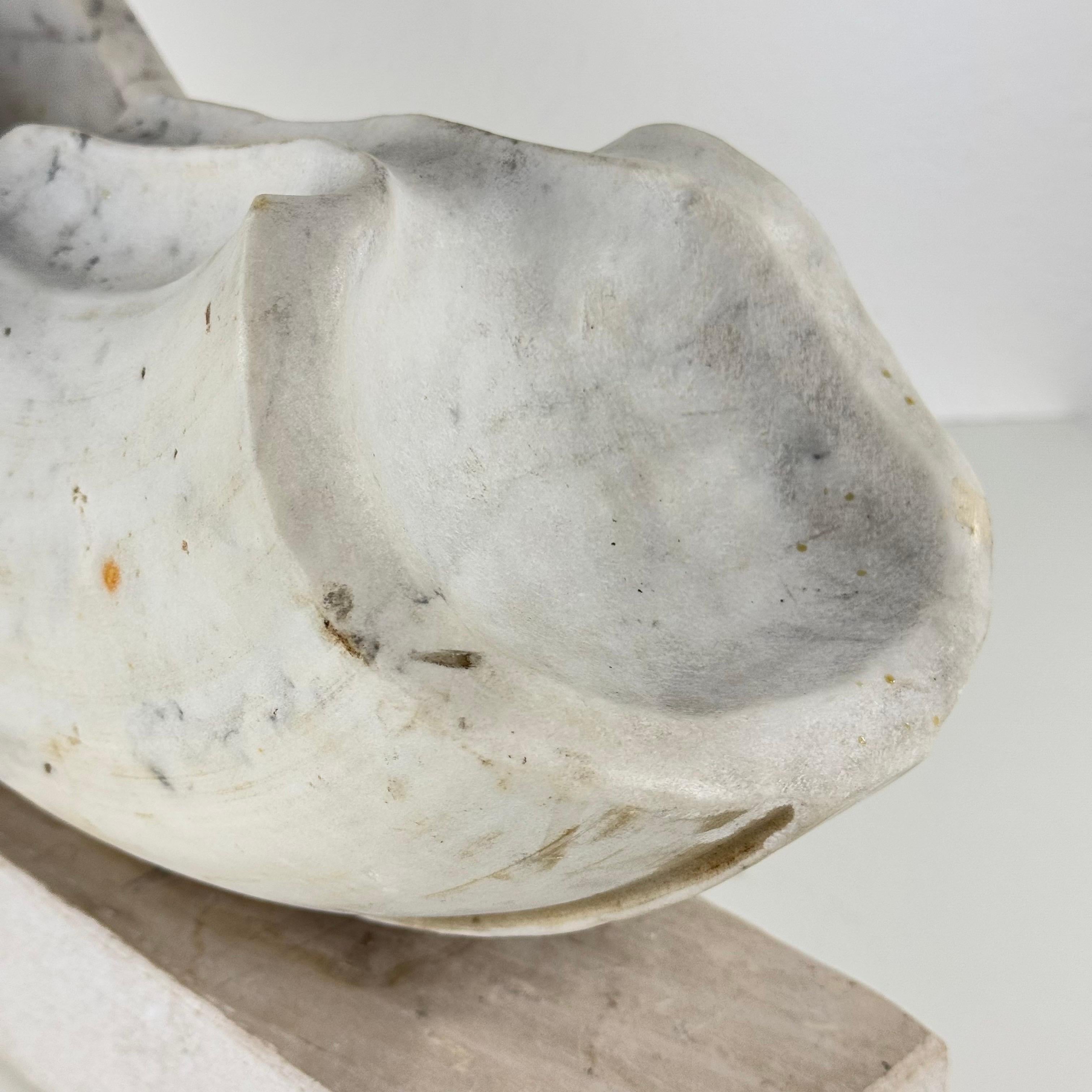 Pietro Cenedella, Biomorphe Skulptur aus Carrara-Marmor, Italien, 1970er Jahre im Angebot 3