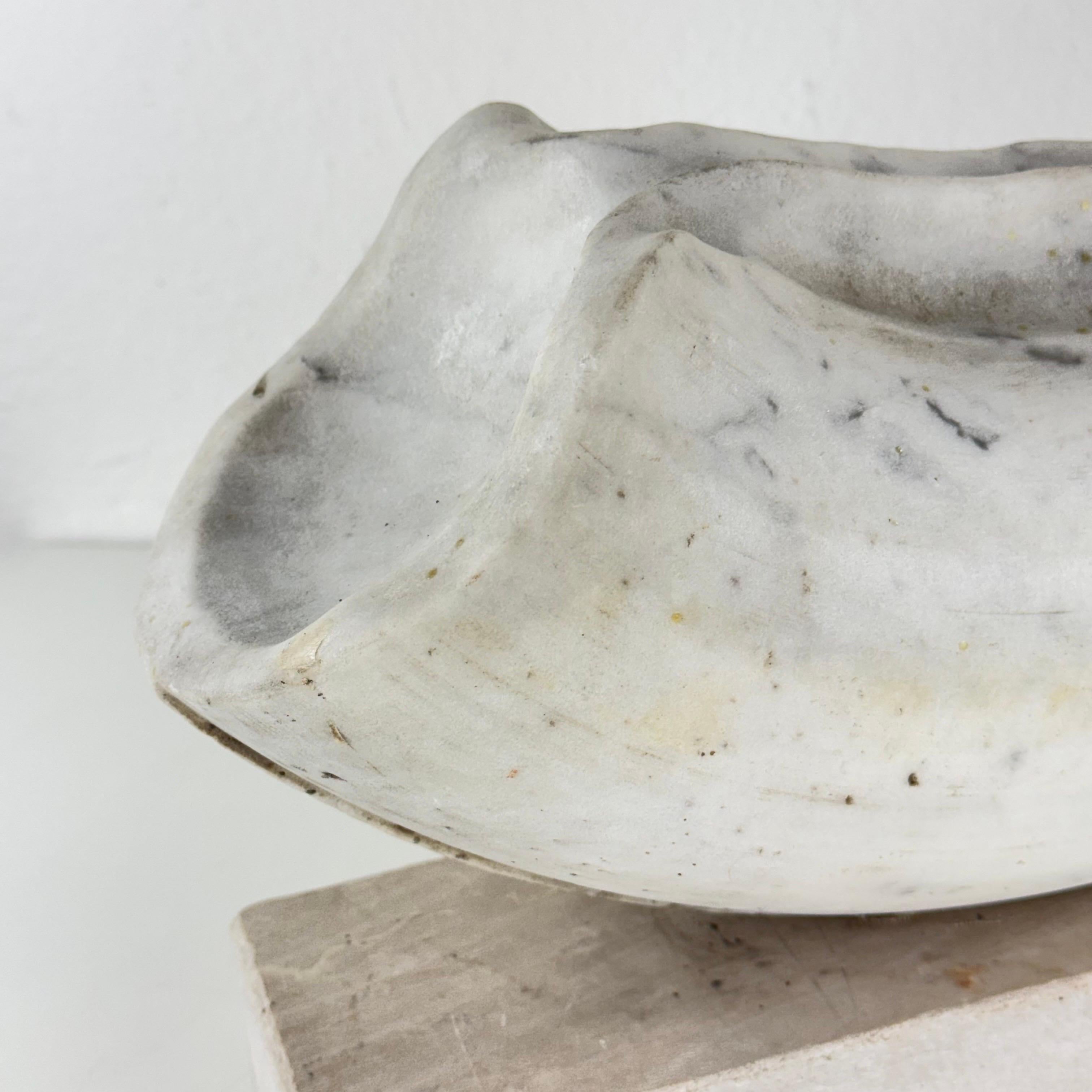 Pietro Cenedella, Biomorphe Skulptur aus Carrara-Marmor, Italien, 1970er Jahre im Angebot 7