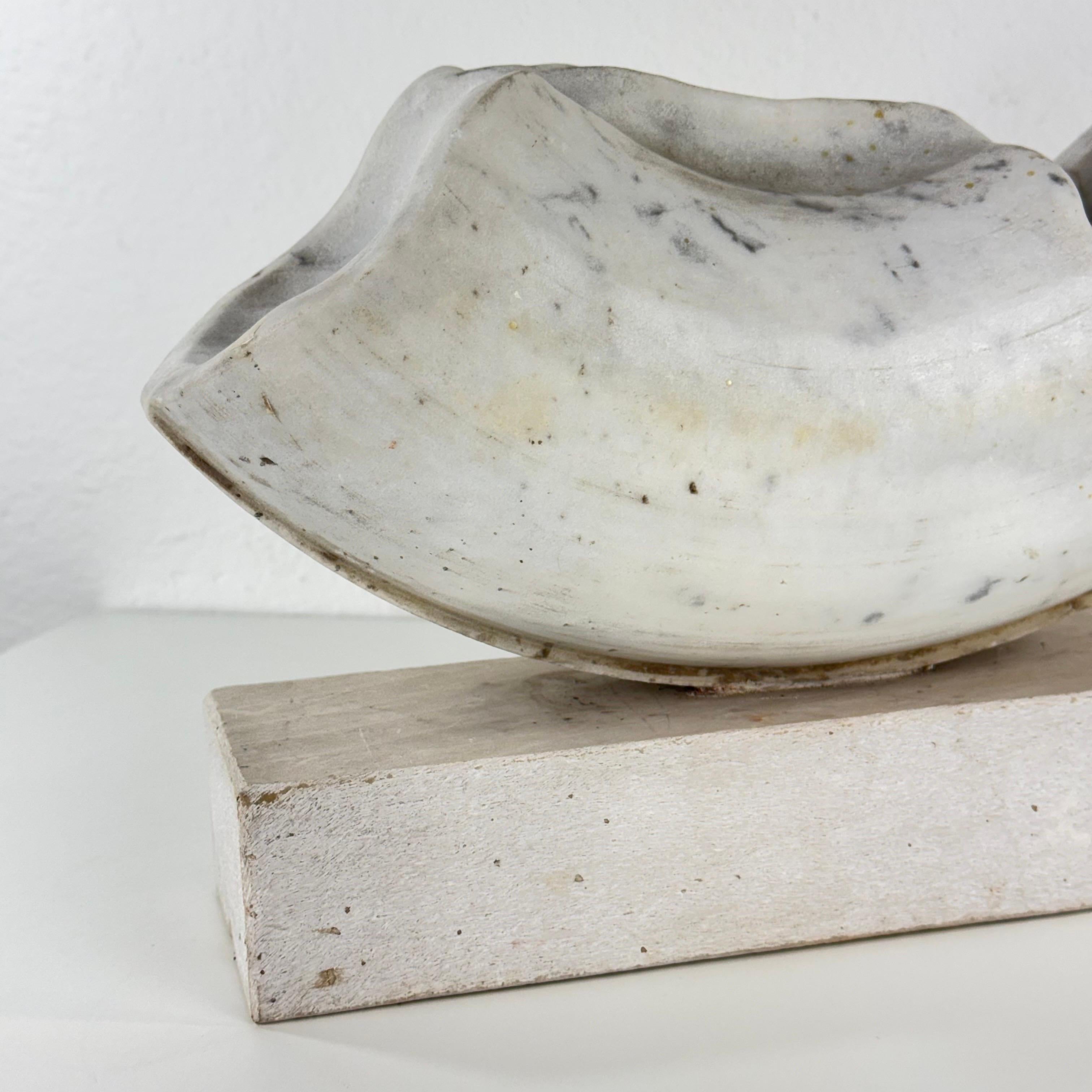 Pietro Cenedella, Biomorphe Skulptur aus Carrara-Marmor, Italien, 1970er Jahre im Angebot 8