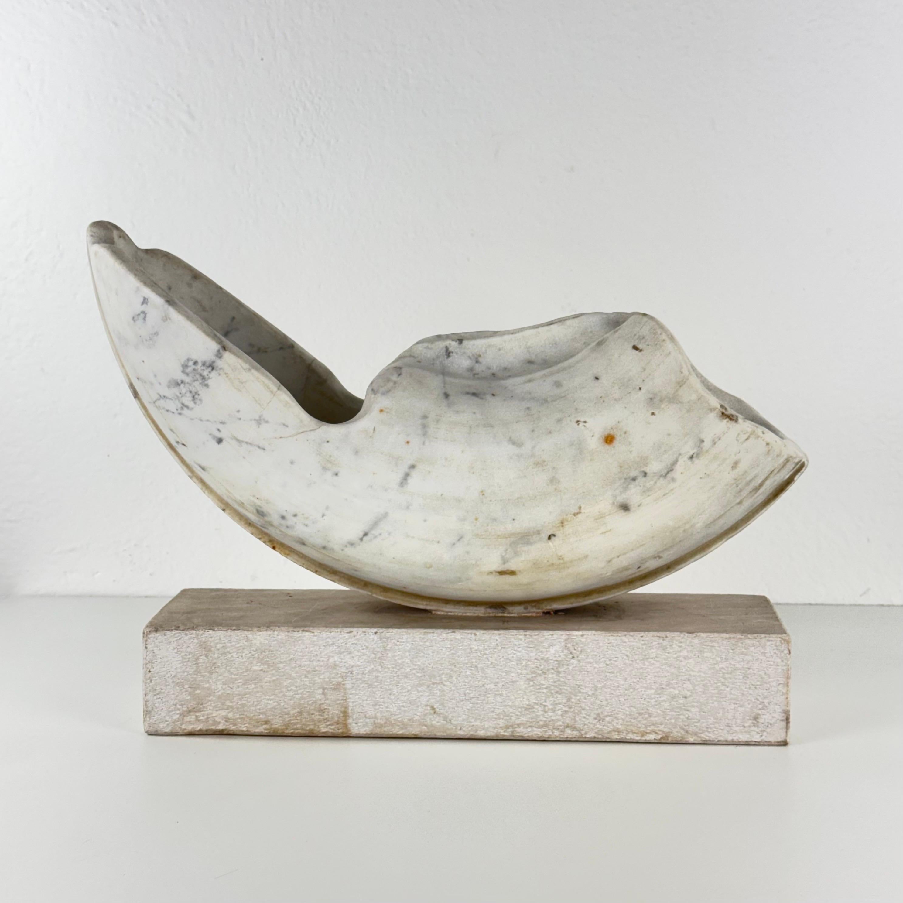 Eine außergewöhnliche signierte Skulptur von Pietro Cenedella, die in den 1970er Jahren aus leuchtendem Carrara-Marmor gehauen wurde. Auf einem rechteckigen Marmorsockel ruhend, entfaltet sich das Werk in einer dynamischen, muschelartigen Form, in