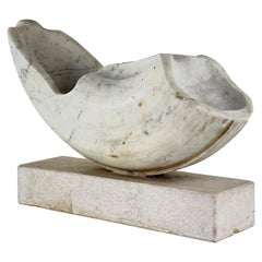 Pietro Cenedella, Biomorphe Skulptur aus Carrara-Marmor, Italien, 1970er Jahre