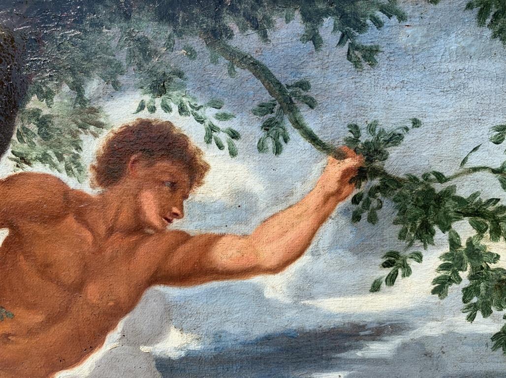 Bottega di Pietro da Cortona (Roma) - Pittura del XVII secolo - Età dell'oro 9