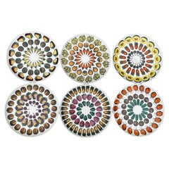 Pietro Fornasetti Giostra Di Fruita Complete set of 6 plates in Amazing Colors 