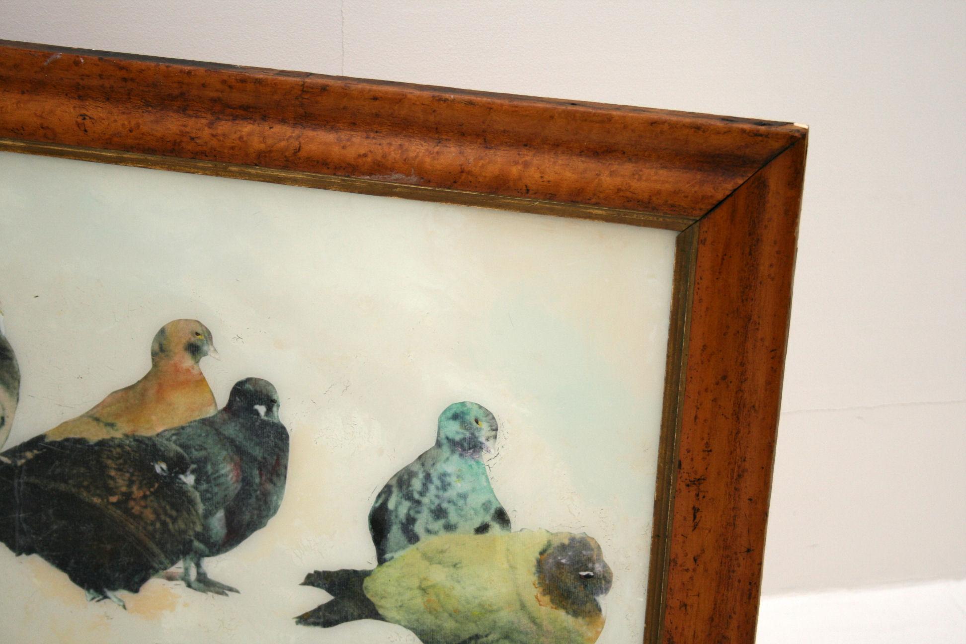 Pigeons 21 by Huw Griffith For Sale at 1stDibs
