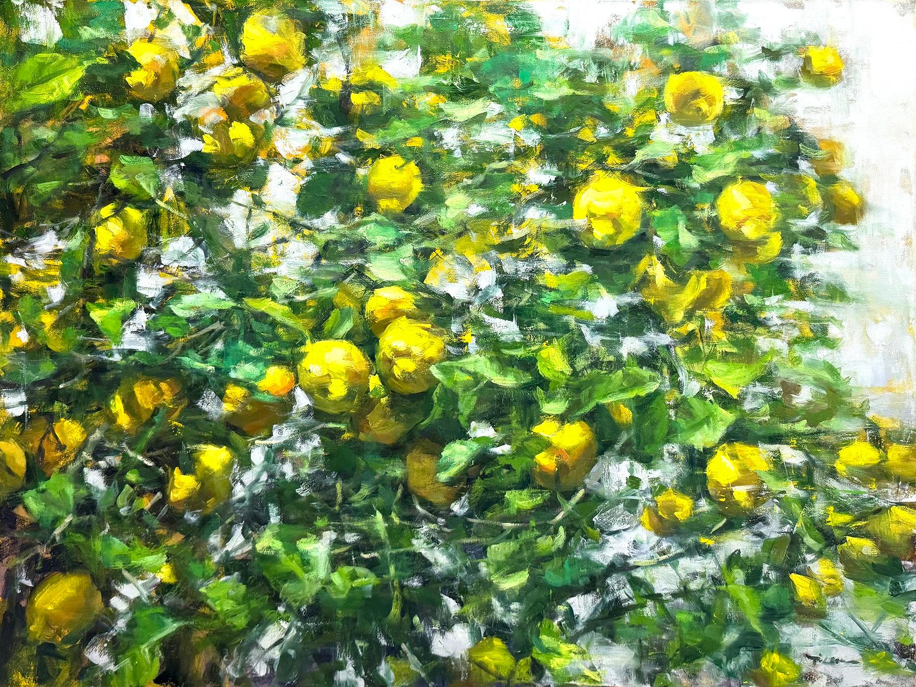 Pil Ho Lee Still-Life Painting – "Zitronenbaum Nr. 6" Buntes impressionistisches Öl
