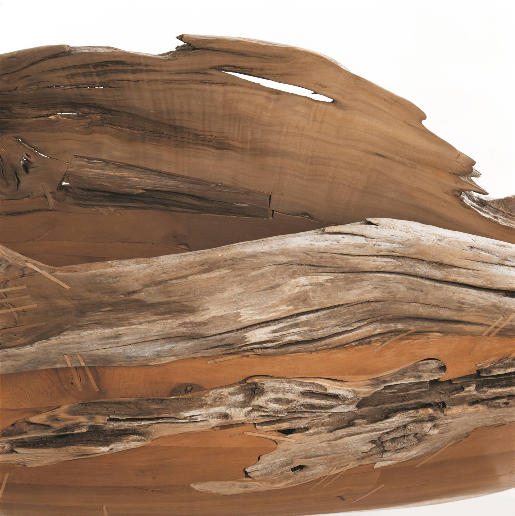 Barca Pez - escultura de madera de la artista chilena Pilar Ovalle en venta 2