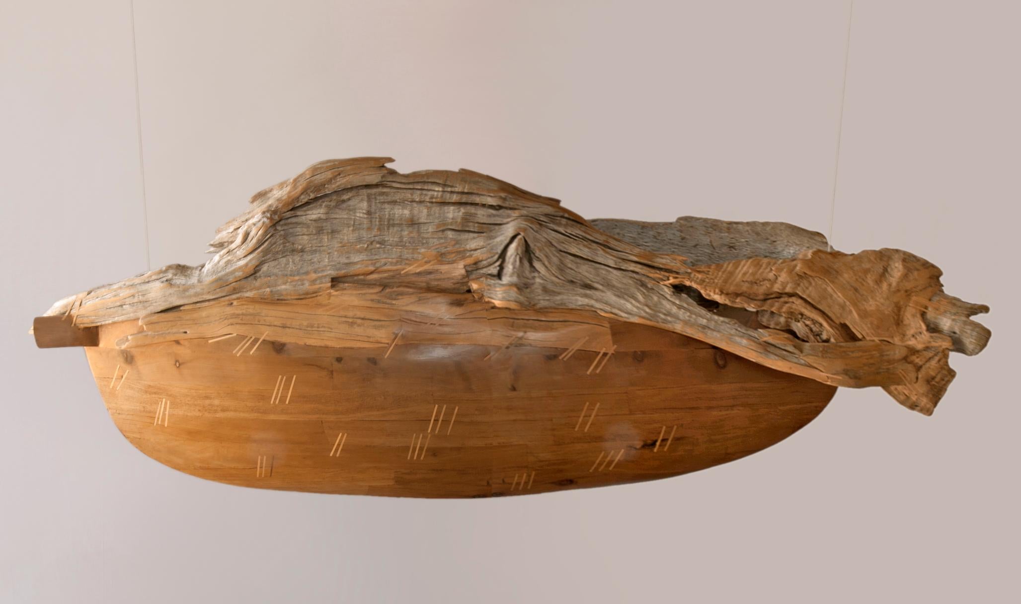 La sculpture "Barca Pez", ou "Bateau-poisson", de l'artiste chilienne Pilar Ovalle est faite de bois flotté ramassé sur les rives d'un lac au Chili, combiné à de l'Alerce, un bois indigène du Chili. Il peut être suspendu comme illustré ou un support