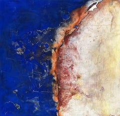 Latidos