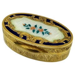 Portapillole in argento Sterling Enamel dipinto a mano in stile Art Nouveau in miniatura floreale
