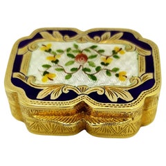 Vintage Pill Box Silver Sterling Enamel hand-painted floral miniature Salimbeni