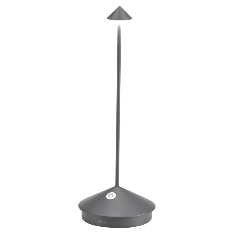 Pina Pro Cordless Table Lamp in Dark Grey For Sale at 1stDibs