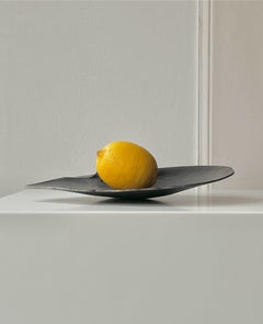 Sculpture en coquille d'huître Pinctada