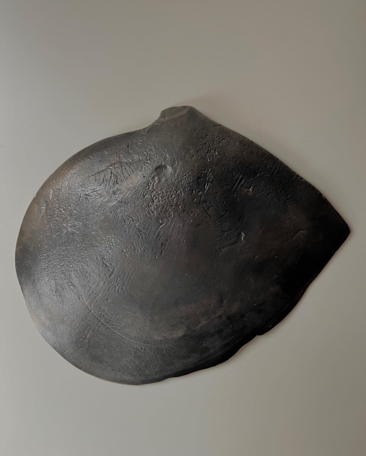 Ferro Pinctada Oyster Shell Sculpture in vendita