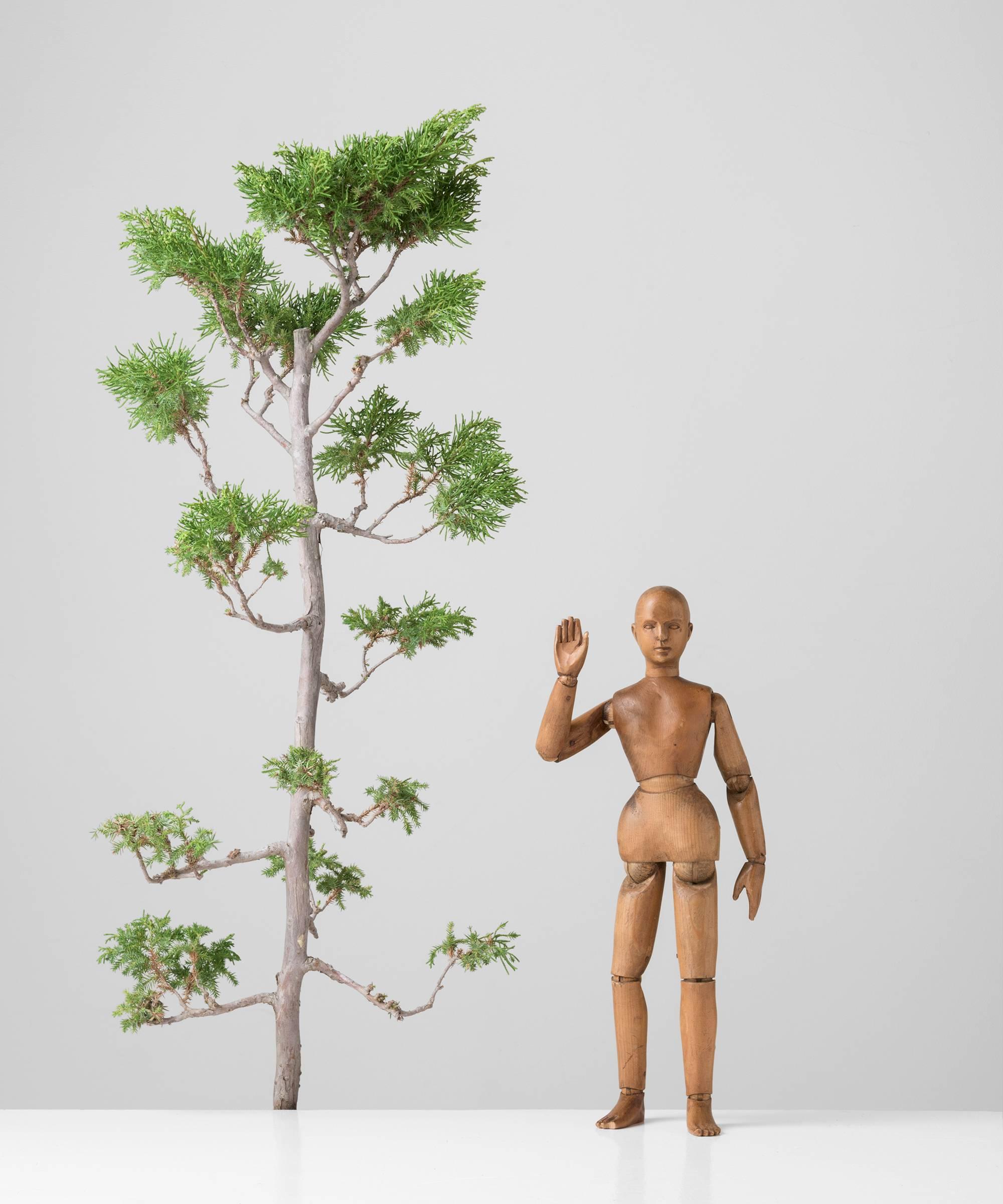 French Pine Artist Model, circa 1880