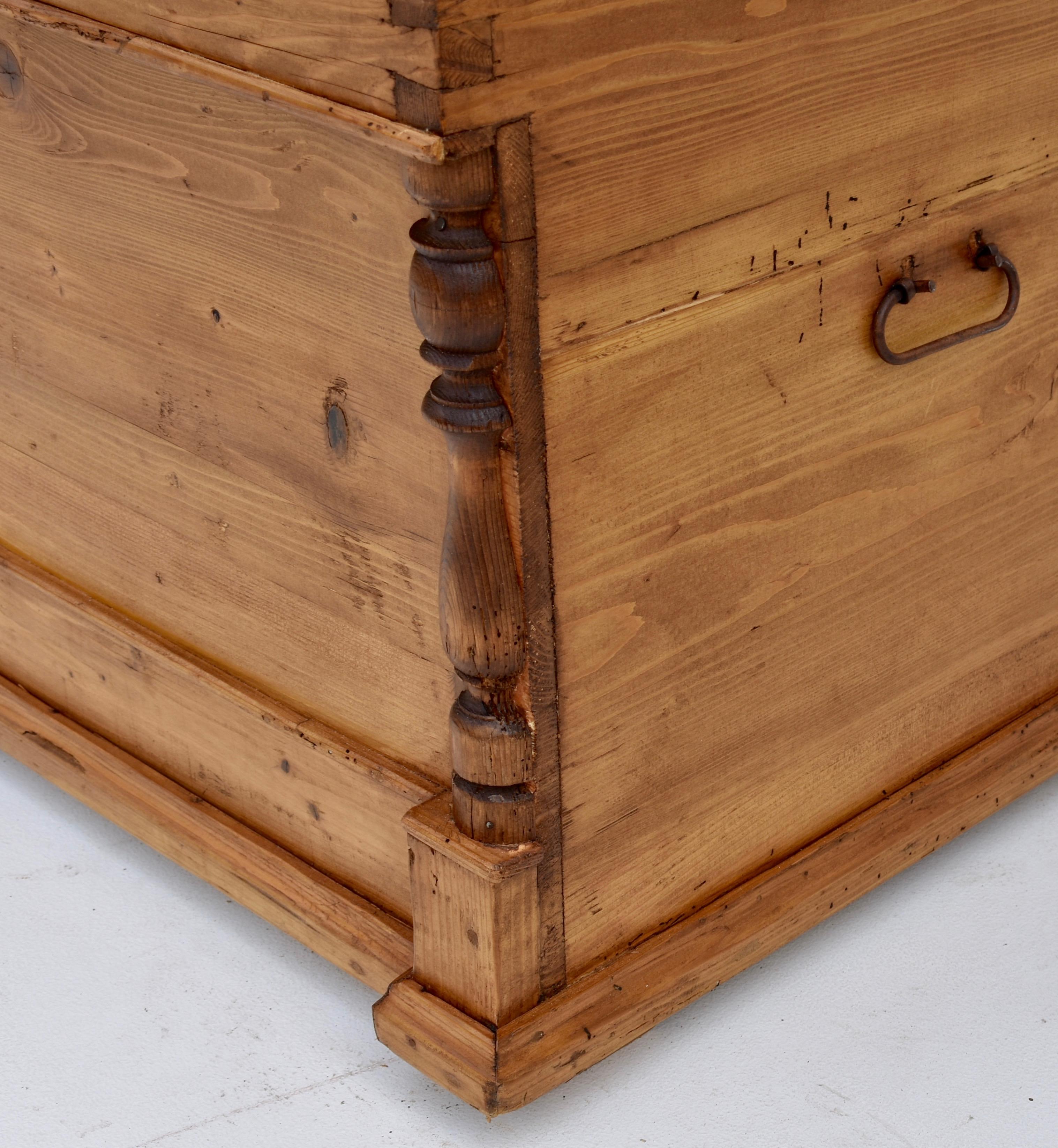 Polished Pine Dome-Top Trunk or Blanket Chest For Sale