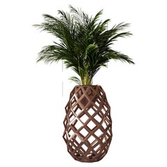 Pine Plant Pot