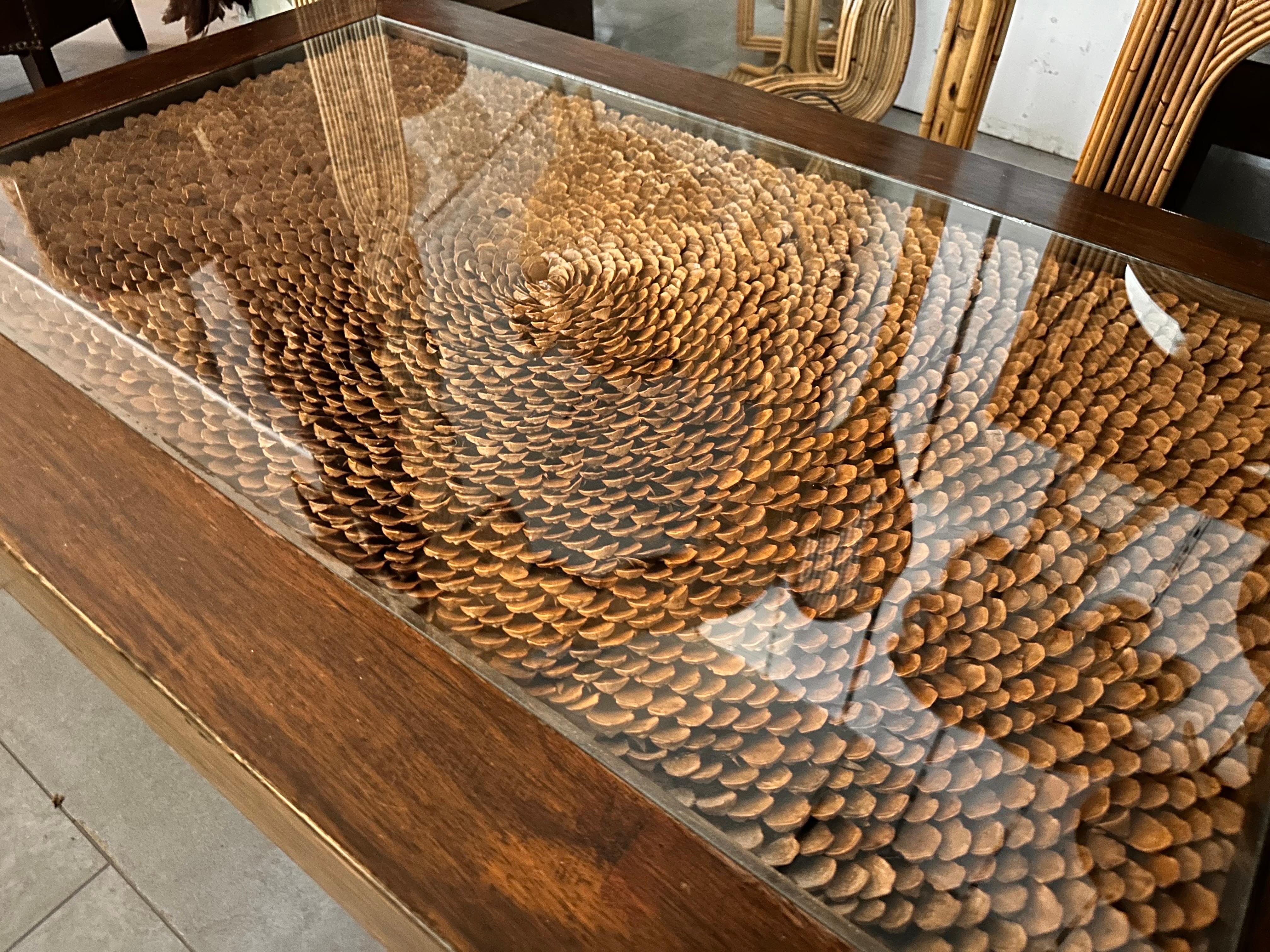 Pine shells and wood coffee table with glass top circa 1970 For Sale 2