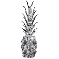 Pineapple Big in Crystal, Italy