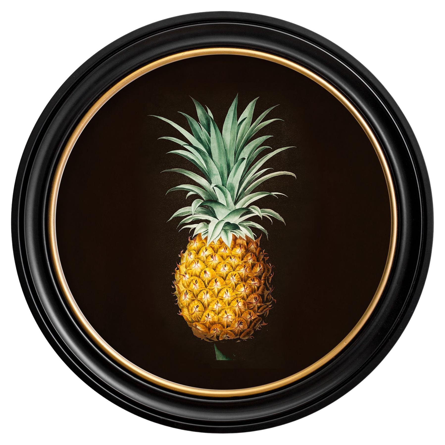Impression encadrée d'études botaniques en forme d'ananas d'un original français de 1812,  Nouveau en vente