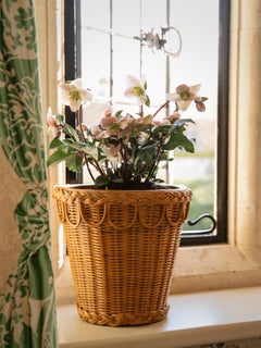 Pinet Pot, Natural Honey Rattan, Large, Modern, Rustic Accessory by Louise Roe