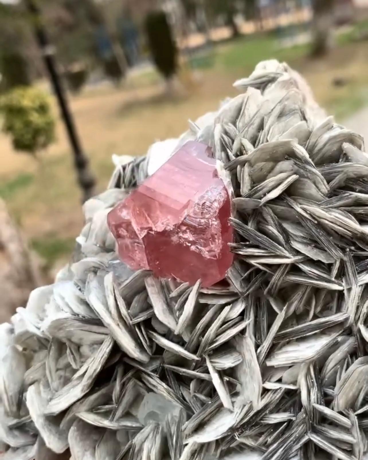 Pink Apatite Crystal Nicely Positioned On Muscovite Matrix From Pakistan For Sale 3