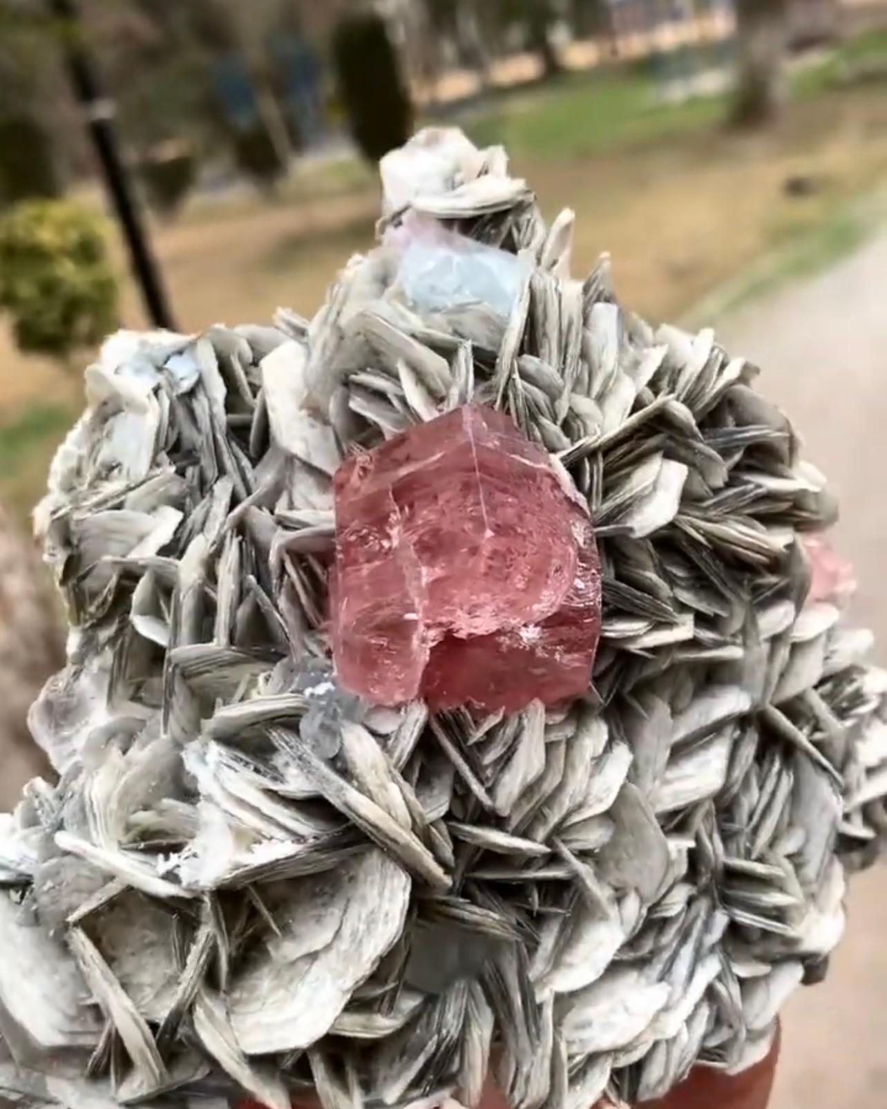Pink Apatite Crystal Nicely Positioned On Muscovite Matrix From Pakistan For Sale 4