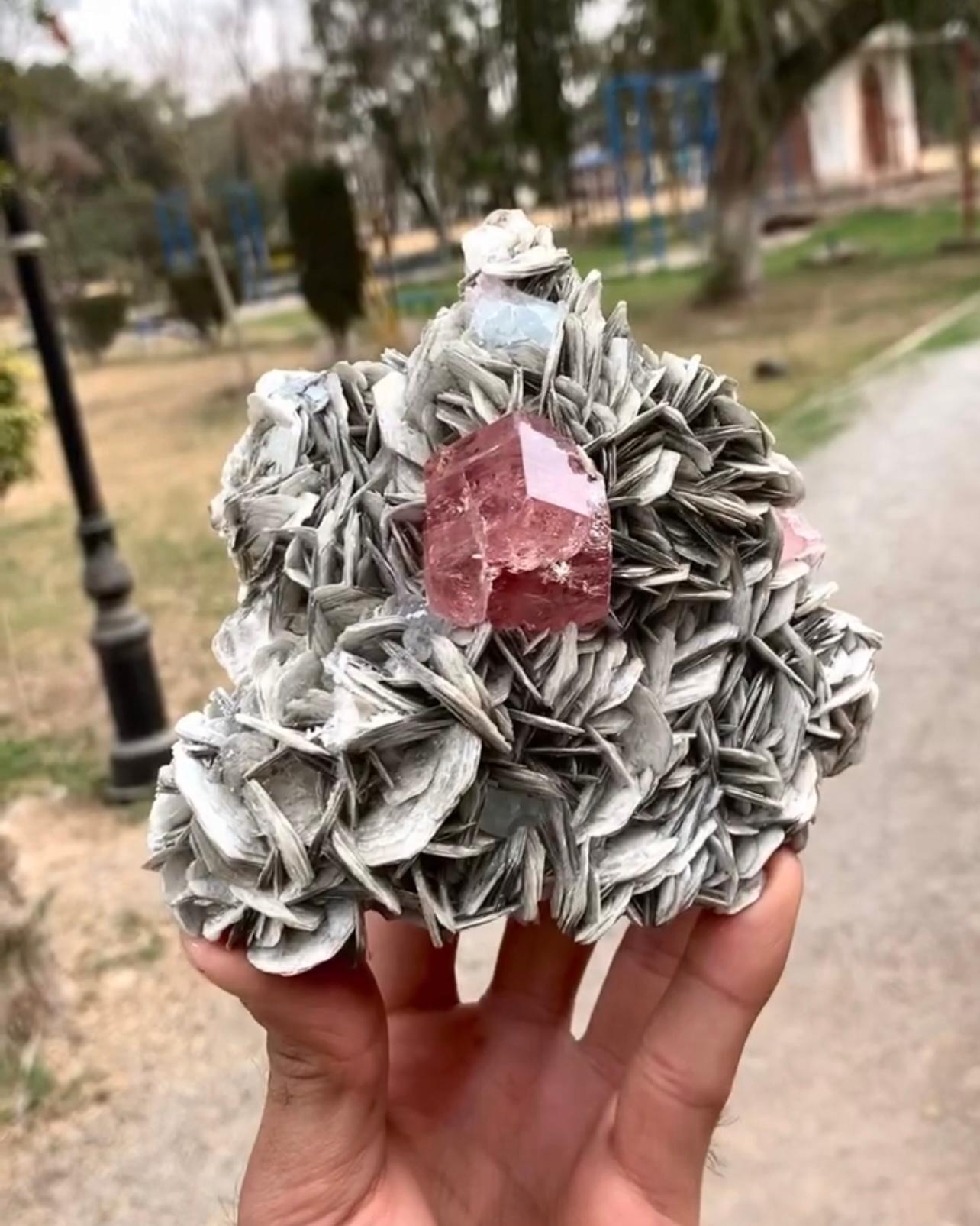 Pakistani Pink Apatite Crystal Nicely Positioned On Muscovite Matrix From Pakistan For Sale