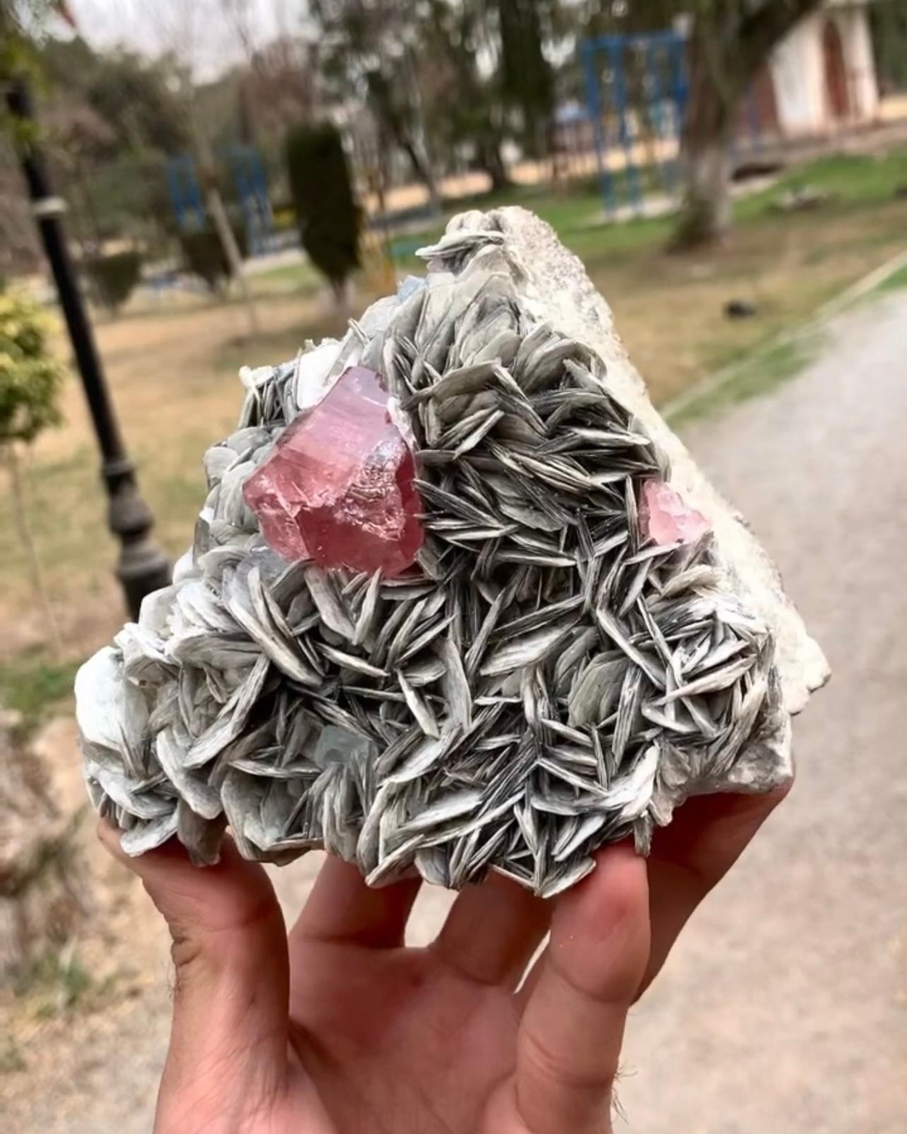 Contemporary Pink Apatite Crystal Nicely Positioned On Muscovite Matrix From Pakistan For Sale
