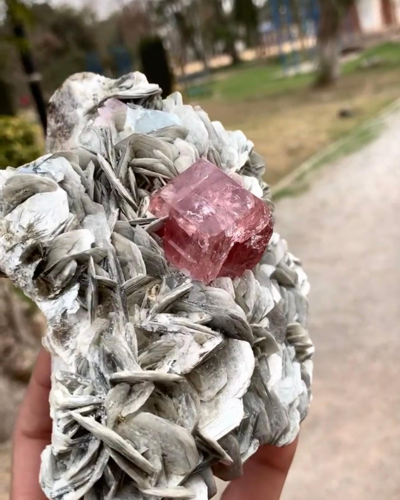 Pink Apatite Crystal Nicely Positioned On Muscovite Matrix From Pakistan For Sale 1
