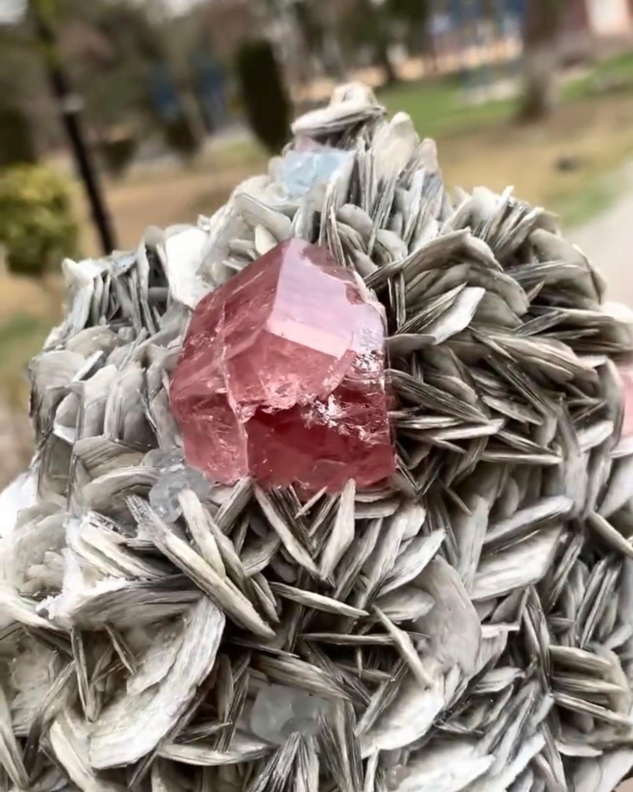 Pink Apatite Crystal Nicely Positioned On Muscovite Matrix From Pakistan For Sale 2